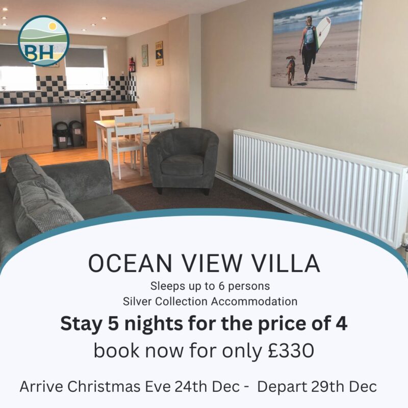 Ocean View Christmas 2023 Special image