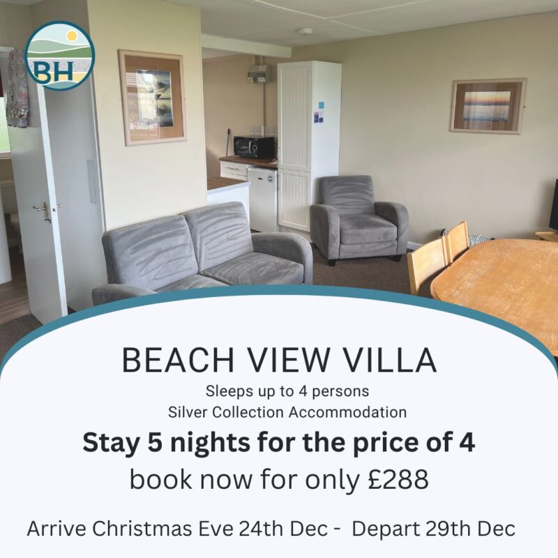 Beach View Christmas 2023 Special image