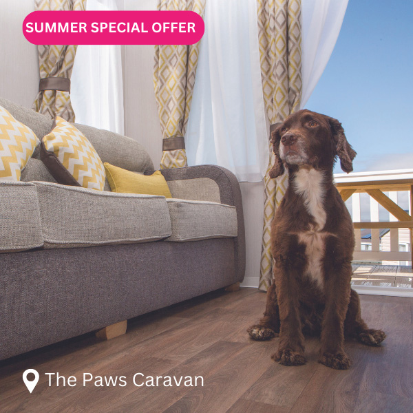 Paws-Caravan-Summer-Special-Offer image