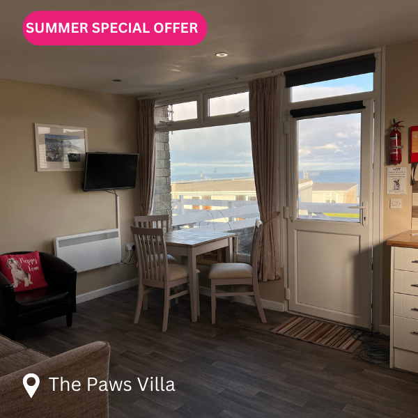 The-Paws-1-Bed-Villa-Summer-Special-offer image