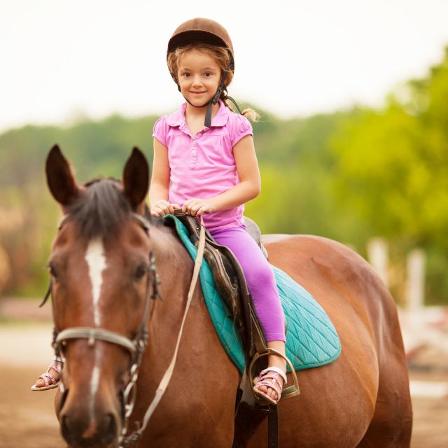 Horse riding Braddicks Holidays Image