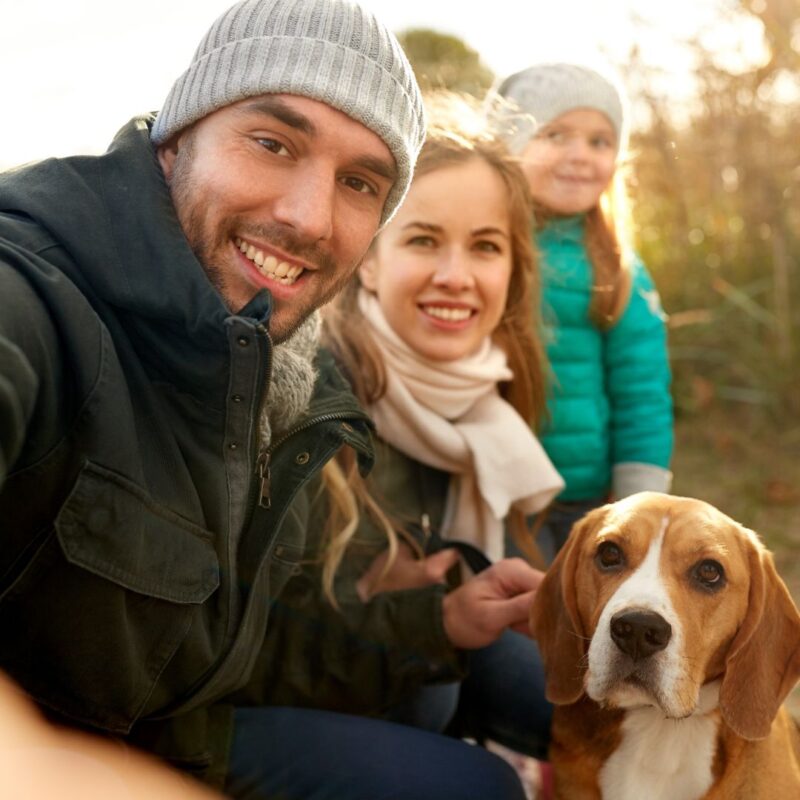 Dog Friendly Holiday Westward Ho!