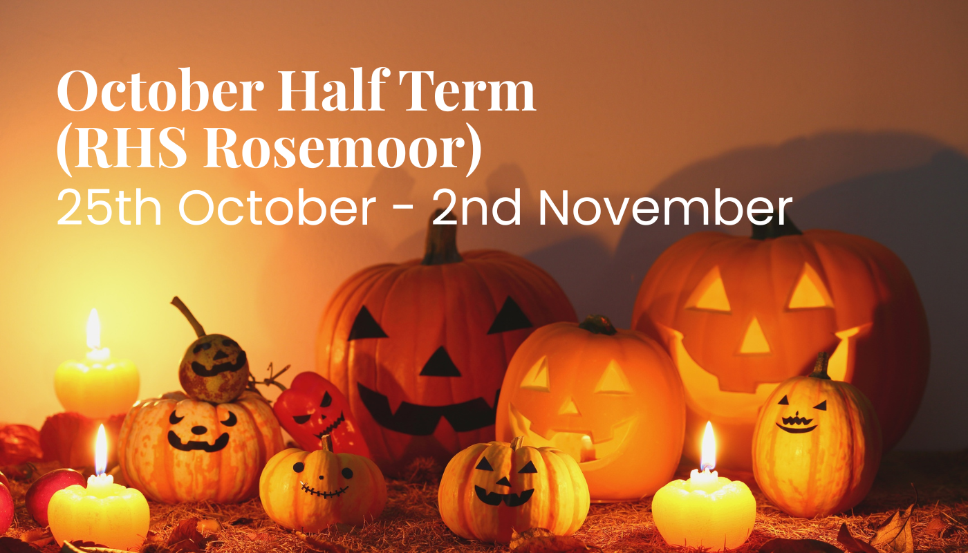 October Half Term at RHS Rosemoor