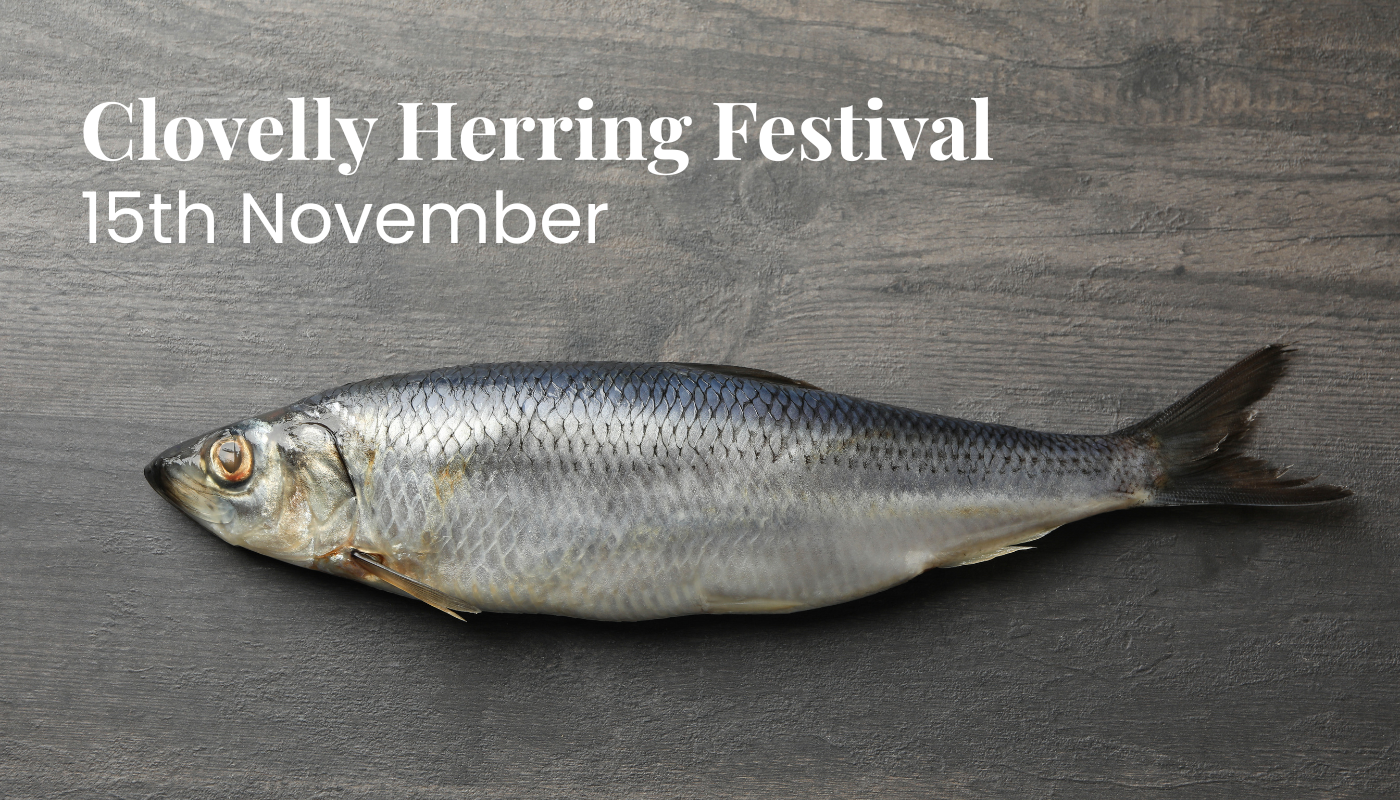 Clovelly Herring Festival