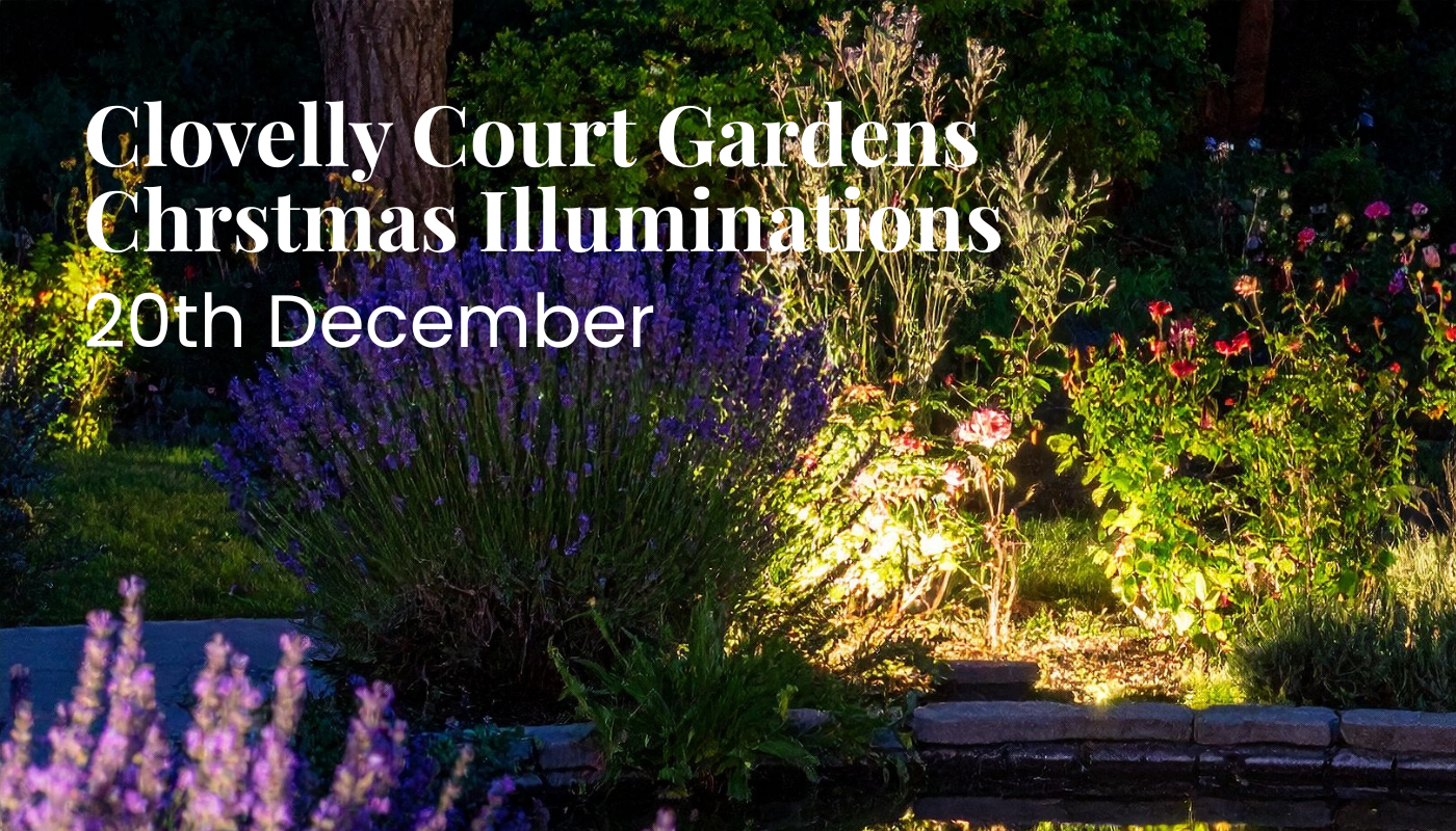 Clovelly Court Gardens Christmas Illuminations