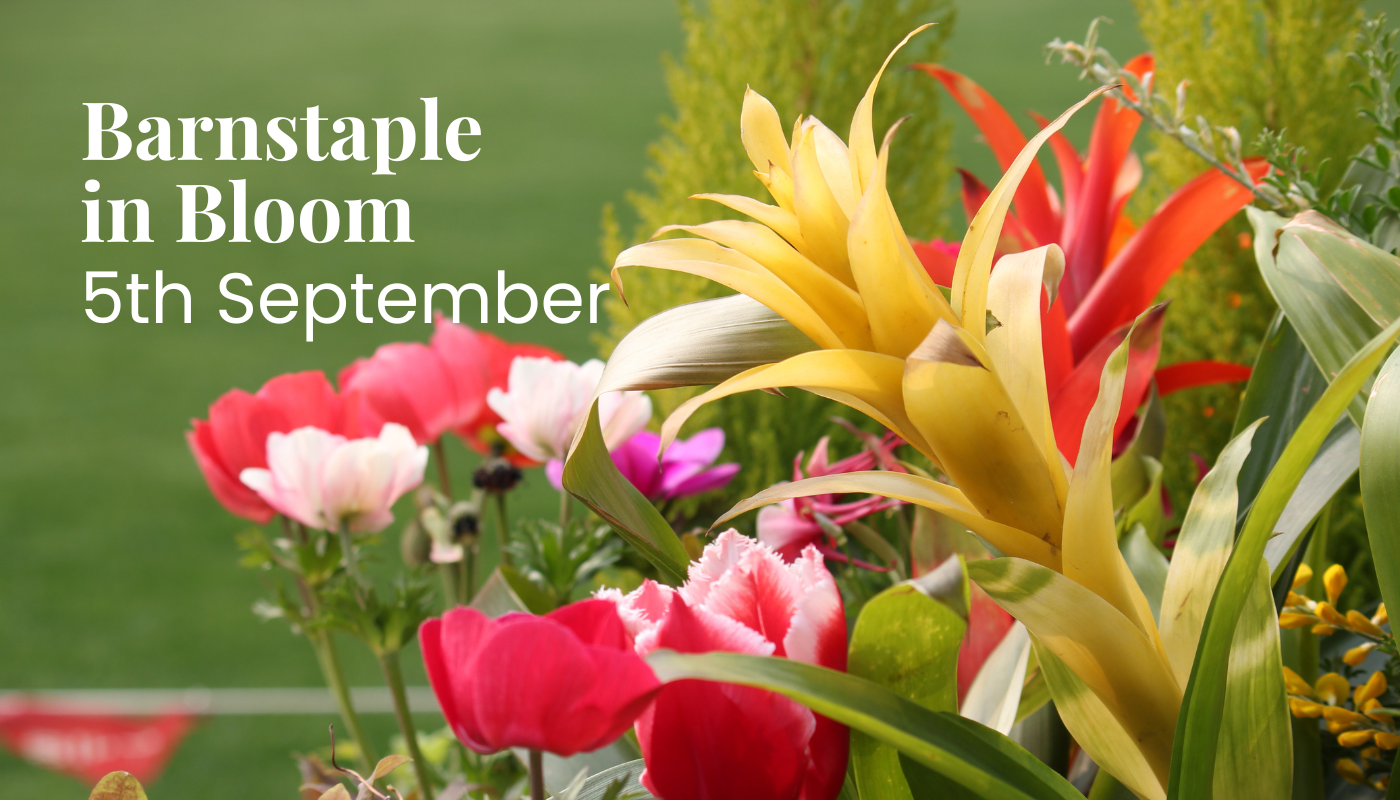 Barnstaple in Bloom