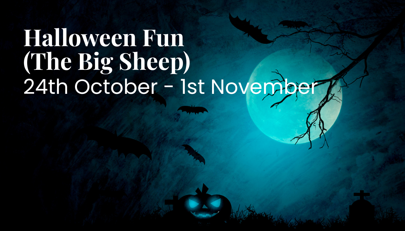 Halloween Fun at The Big Sheep